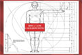 Fibonacci Retracements